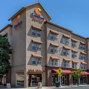 Comfort Suites Visalia - Convention Center